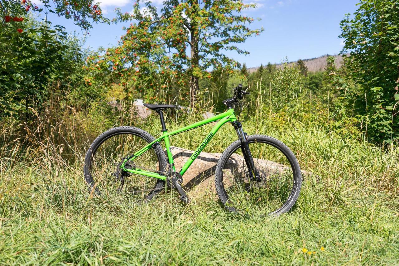 Ferienanlage Zum Wildbach Schierke Kültér fotó