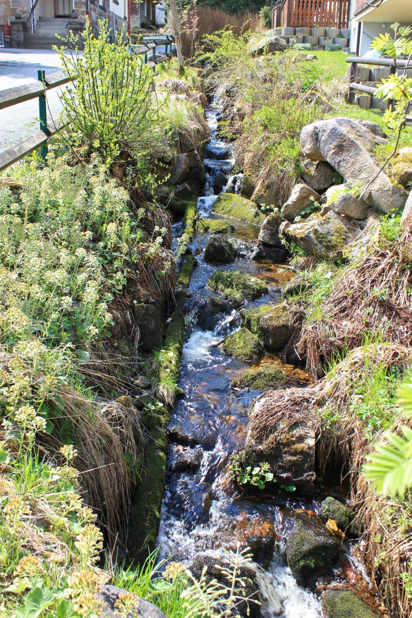 Ferienanlage Zum Wildbach Schierke Kültér fotó